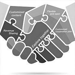 Flexible Cooperation Model灵活合作